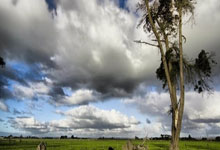 中国男篮国家队最新赛程官宣！球迷该重点关注哪些比赛？