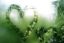 卡塔尔和伊朗的足球对决，谁更有可能笑到最后？